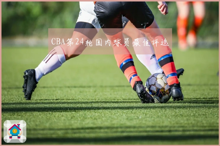 CBA第24轮国内球员最佳评选